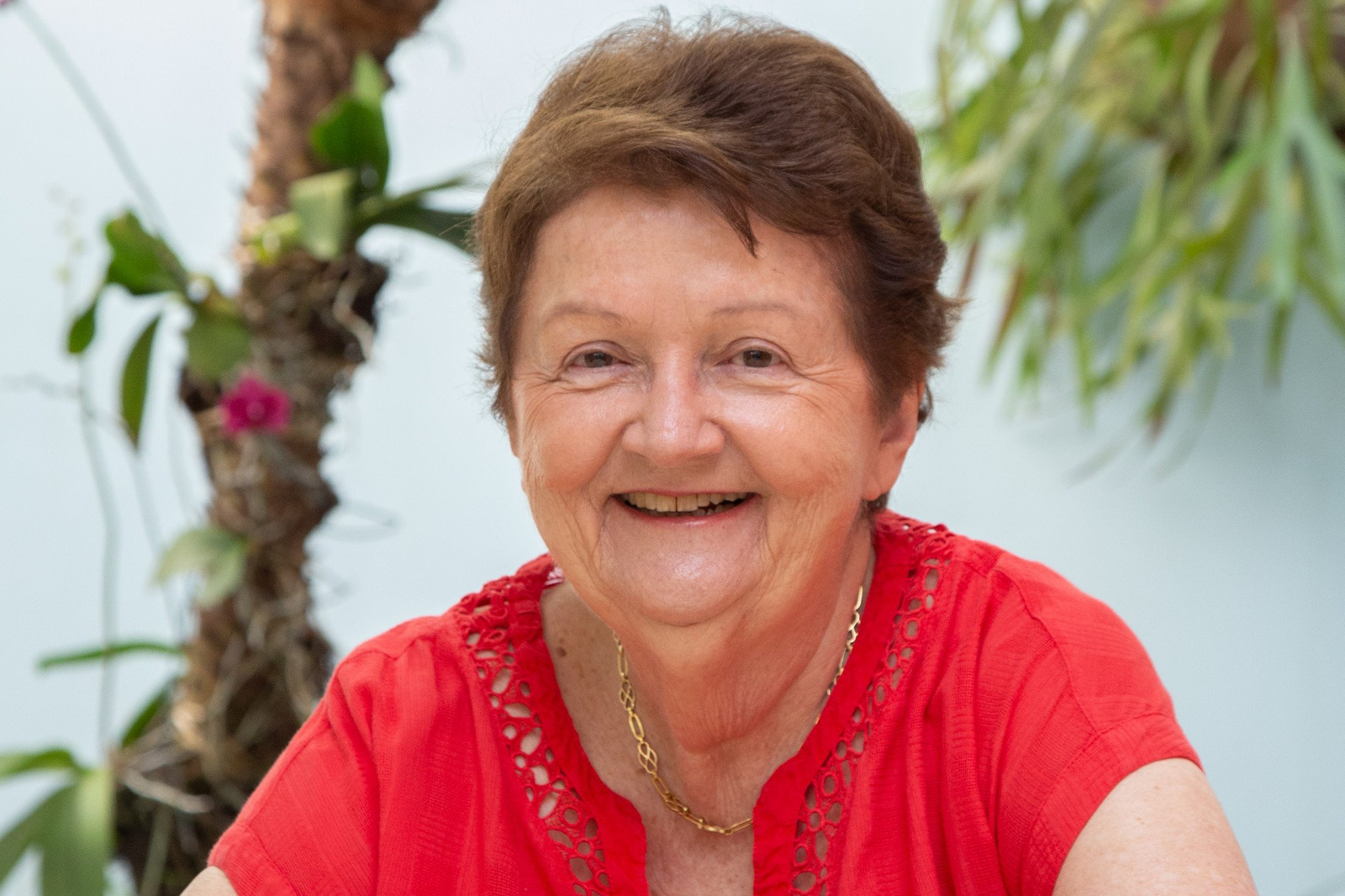 porqueoparaguai.com/