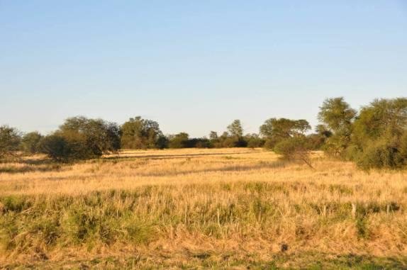 Geografia do Paraguai