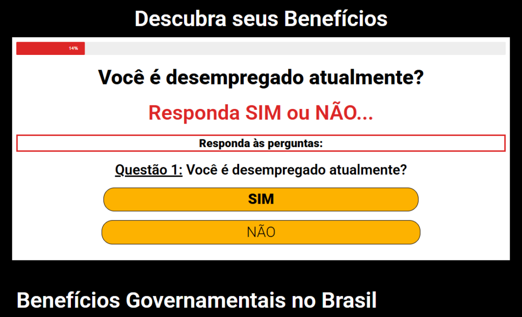 Questionário sobre benefícios governamentais